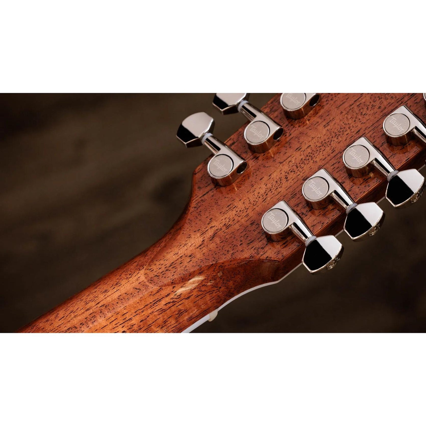 Đàn Guitar Acoustic 12-dây Taylor Legacy 855e - Natural-Mai Nguyên Music