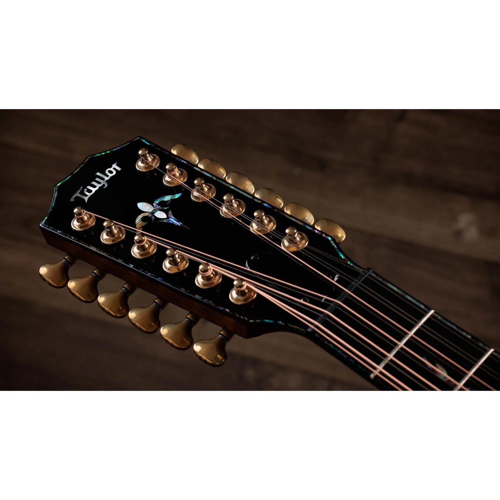 Đàn Guitar Acoustic 12-dây Taylor Next Generation PS54ce - Natural-Mai Nguyên Music