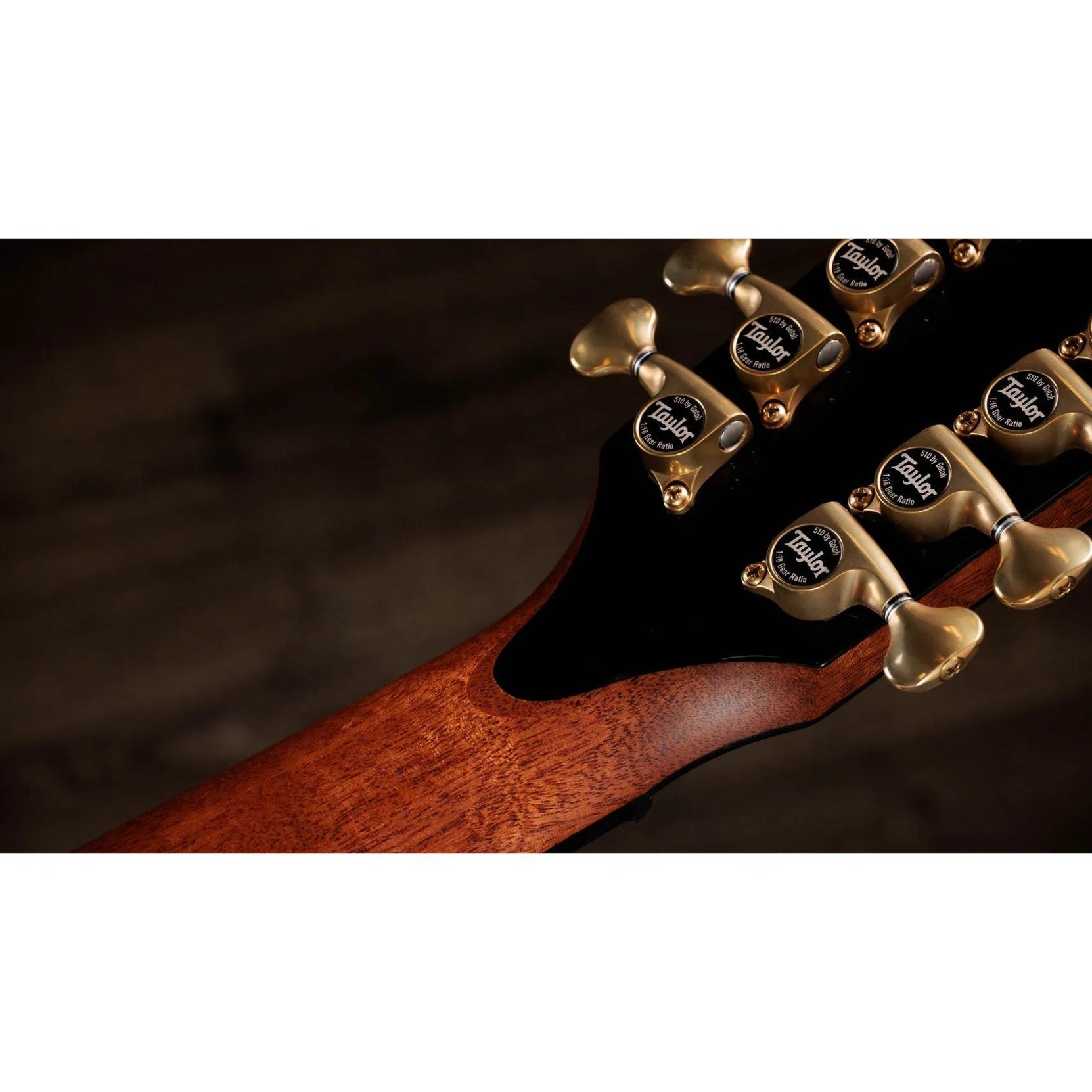 Đàn Guitar Acoustic 12-dây Taylor Next Generation PS54ce - Natural-Mai Nguyên Music
