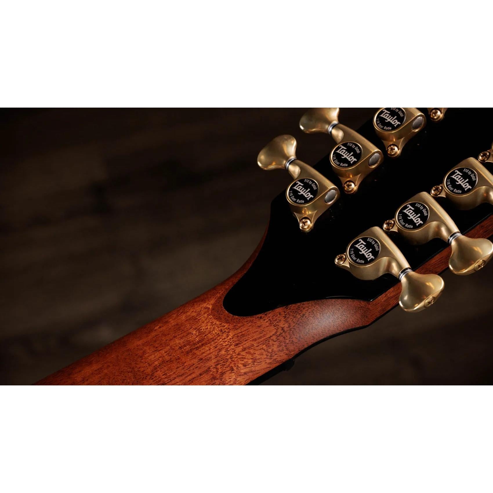 Đàn Guitar Acoustic 12-dây Taylor Next Generation PS54ce - Natural-Mai Nguyên Music