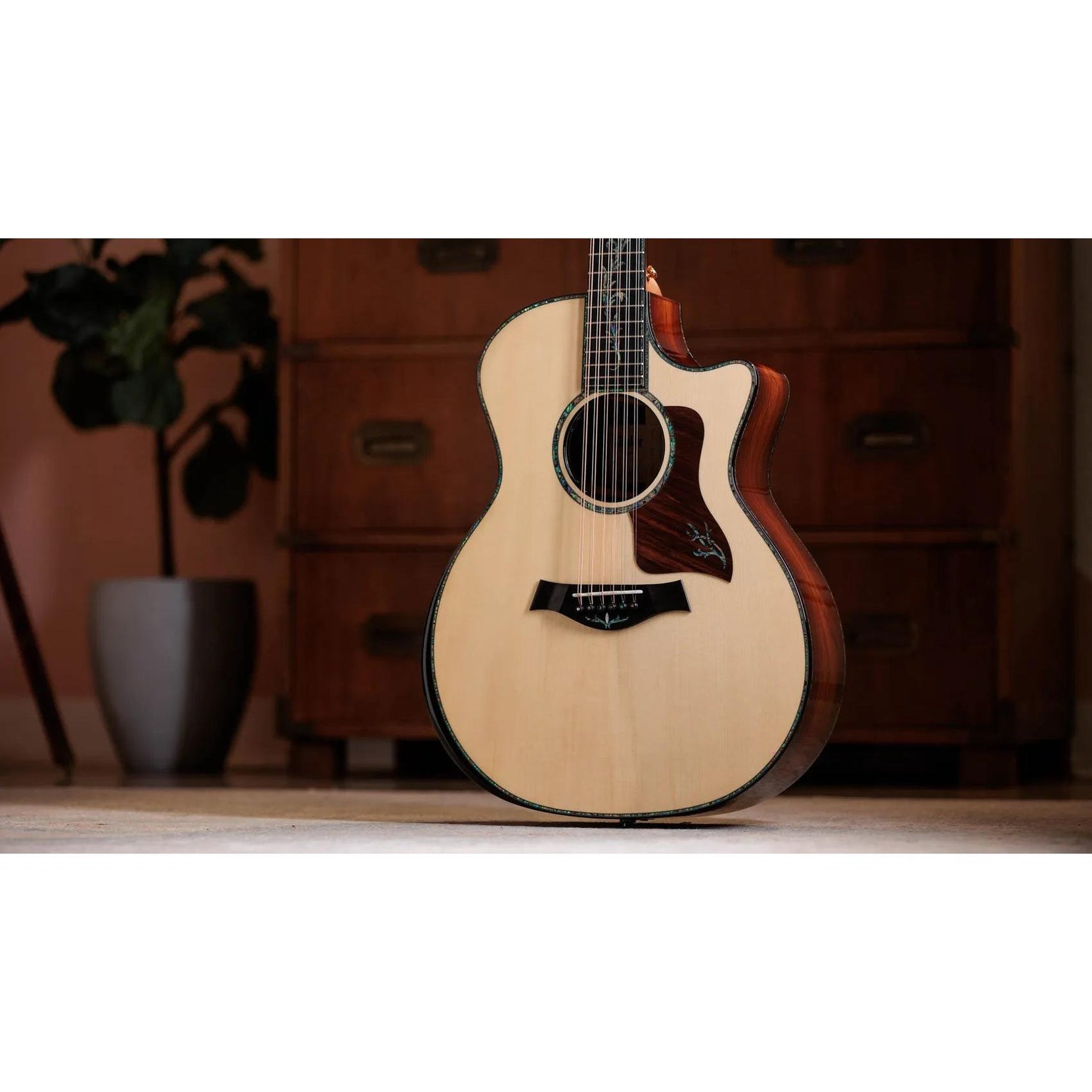 Đàn Guitar Acoustic 12-dây Taylor Next Generation PS54ce - Natural-Mai Nguyên Music