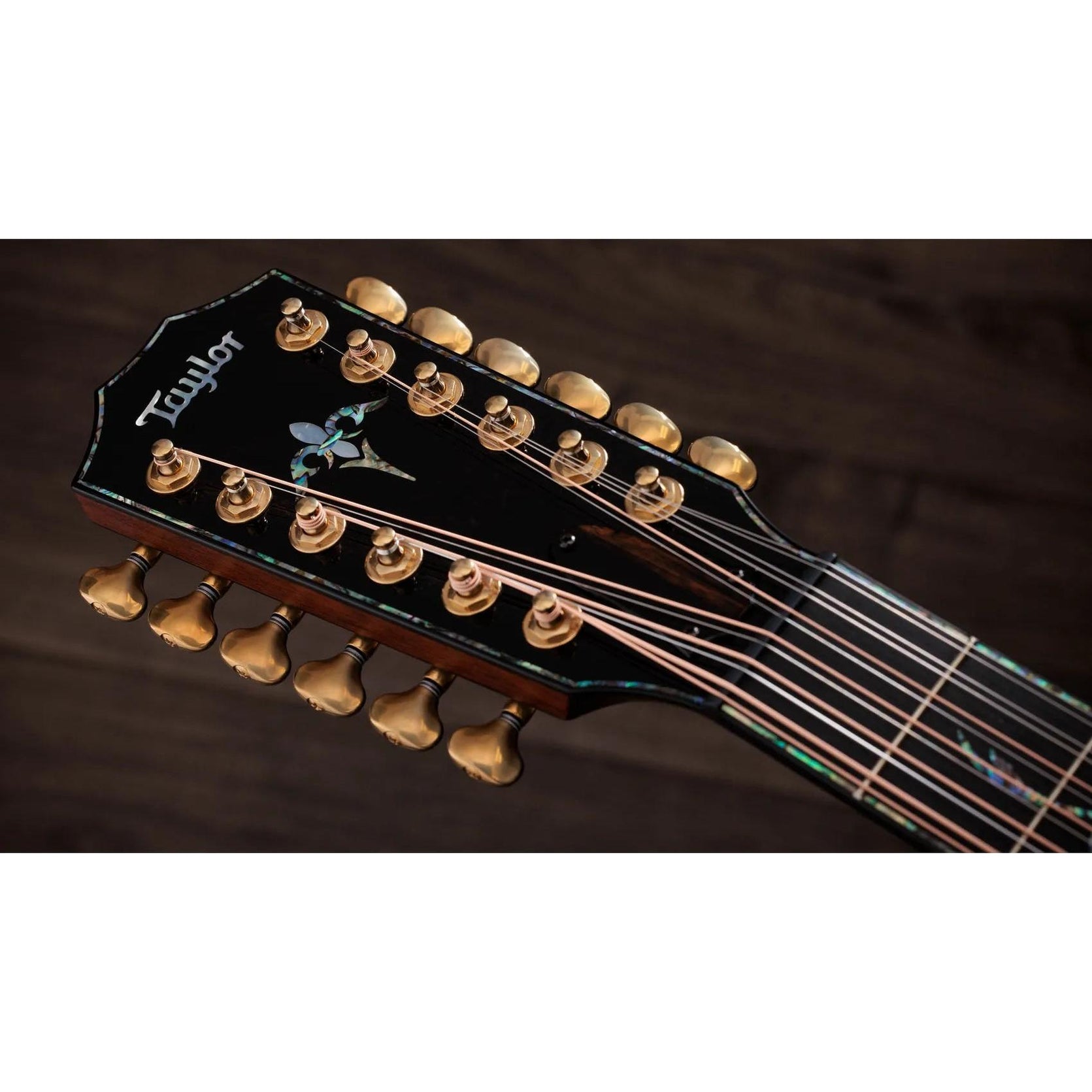 Đàn Guitar Acoustic 12-dây Taylor PS54ce - Natural-Mai Nguyên Music