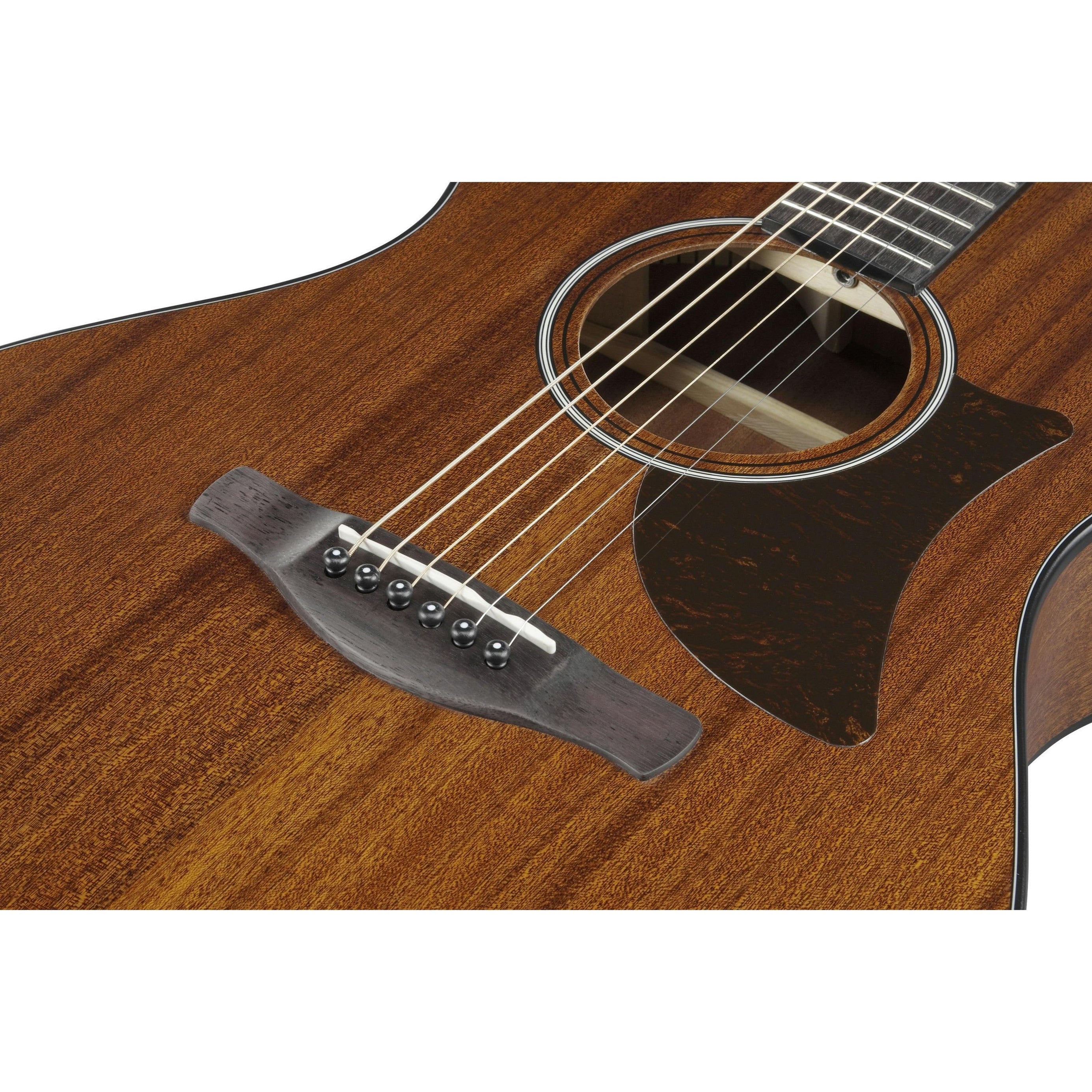 Đàn Guitar Acoustic Advanced Acoustic Ibanez AAM54-Mai Nguyên Music
