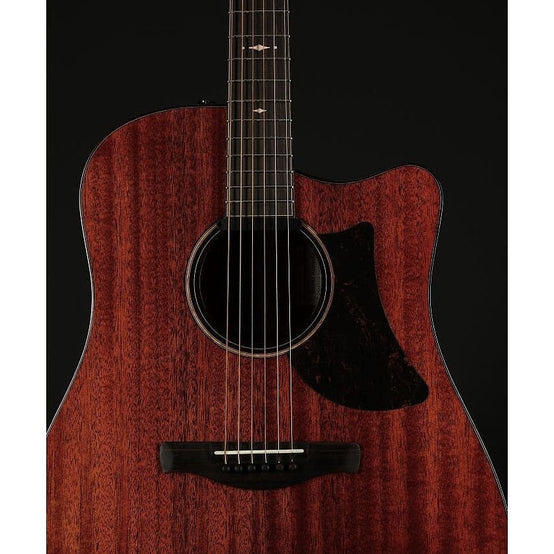 Đàn Guitar Acoustic Advanced Acoustic Platinum Ibanez AAD440CE-Mai Nguyên Music