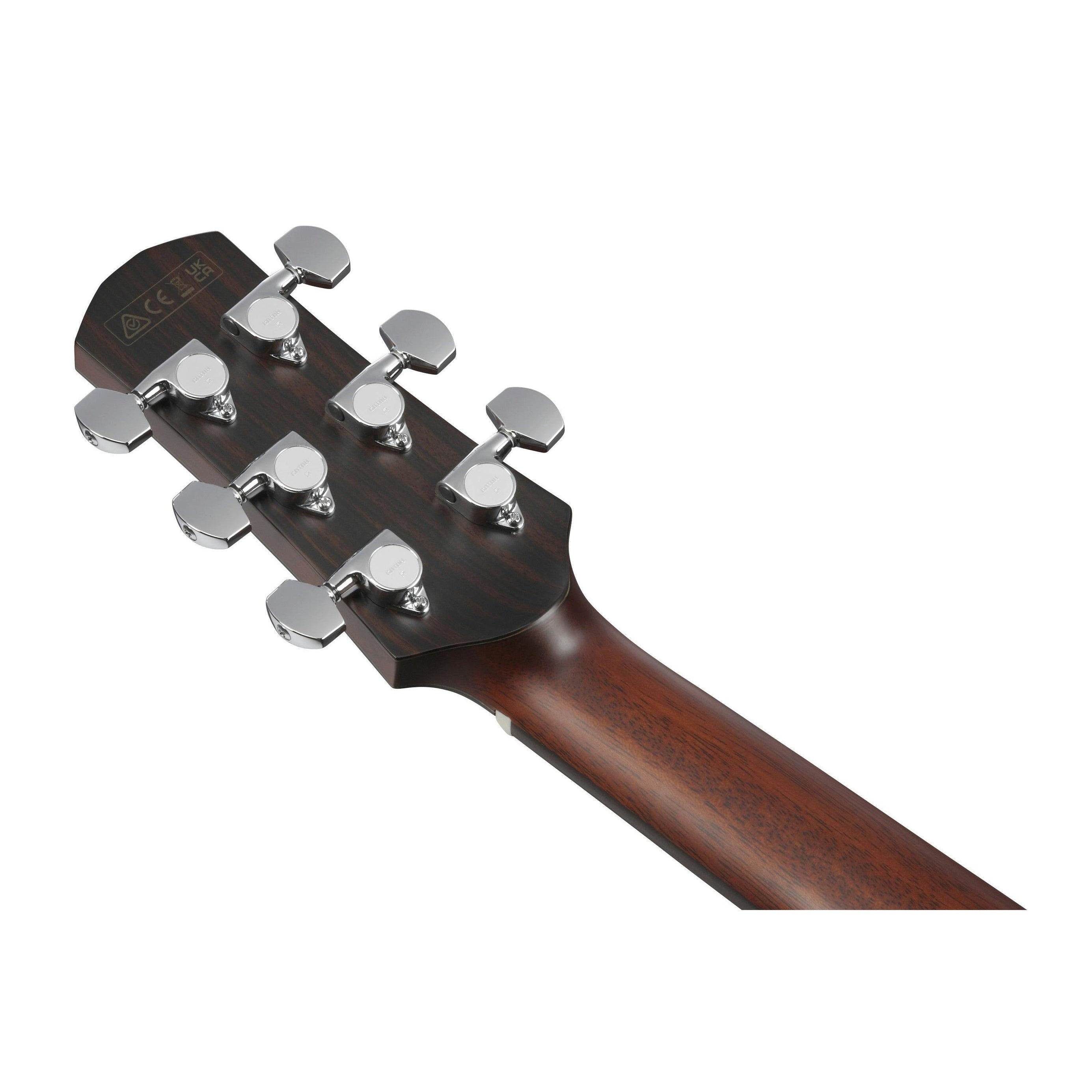 Đàn Guitar Acoustic Advanced Acoustic Platinum Ibanez AAM740E-Mai Nguyên Music