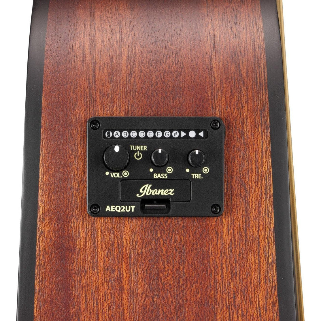 Đàn Guitar Acoustic Altstar Ibanez ALT20-Mai Nguyên Music