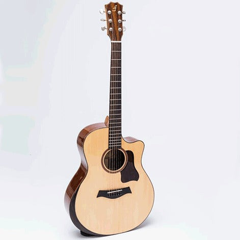 Đàn Guitar Acoustic Ba Đờn T450 EQ-Mai Nguyên Music