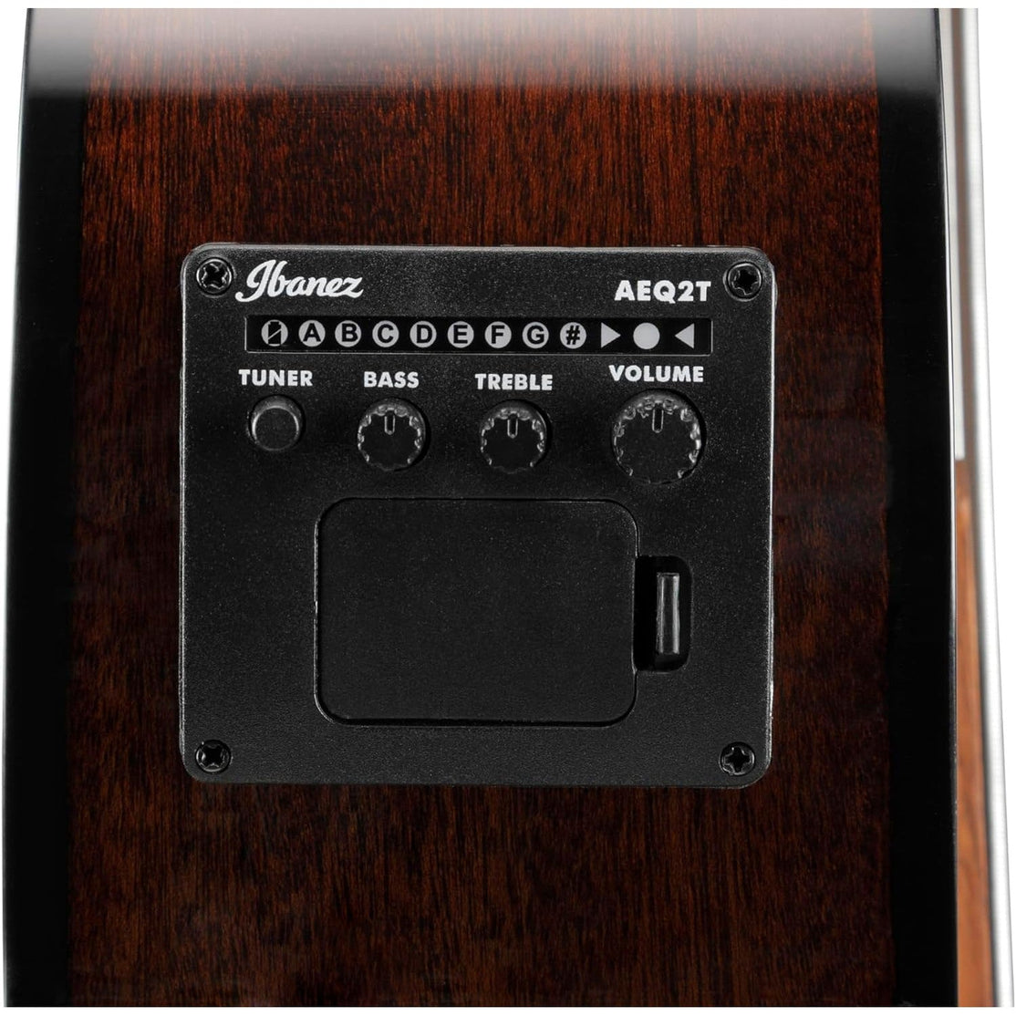 Đàn Guitar Acoustic Bass Ibanez AEGB24FE Fretless-Mai Nguyên Music