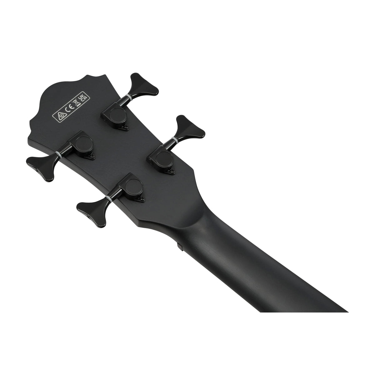 Đàn Guitar Acoustic Bass Ibanez AEGB420 - Black Out-Mai Nguyên Music