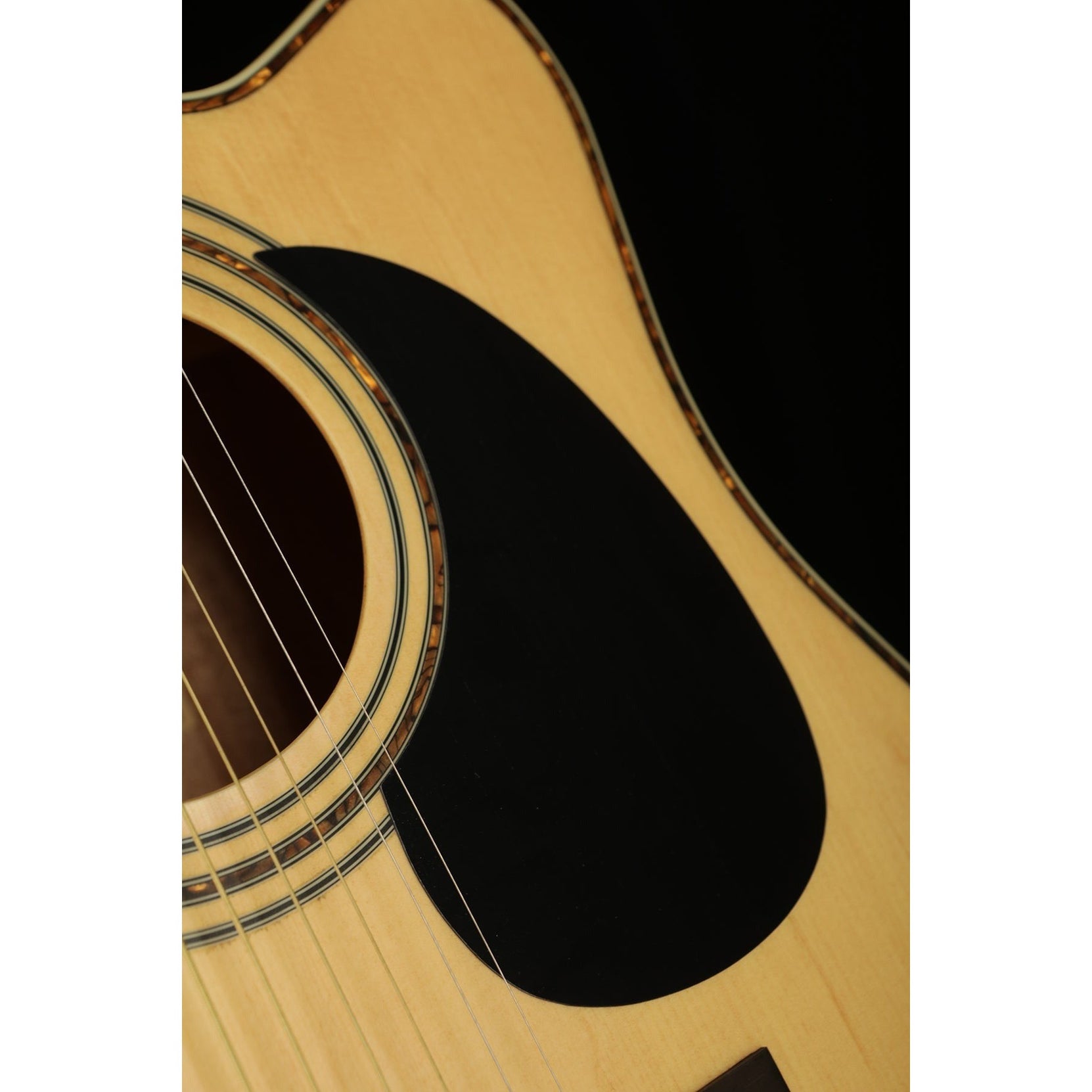 Đàn Guitar Acoustic Cort AD880CE-Mai Nguyên Music