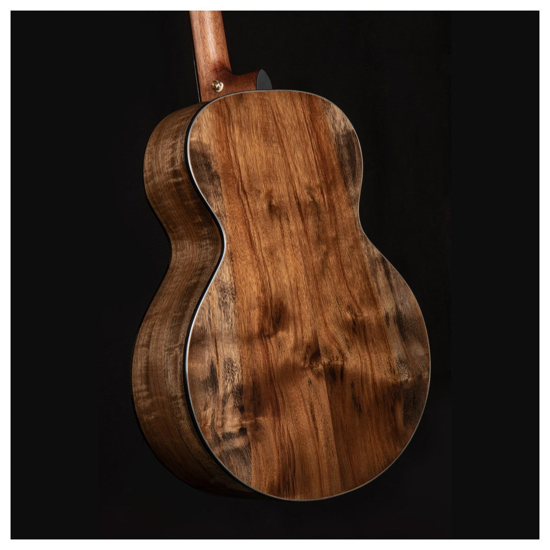 Đàn Guitar Acoustic Cort Cut Craft Limited Edition-Mai Nguyên Music