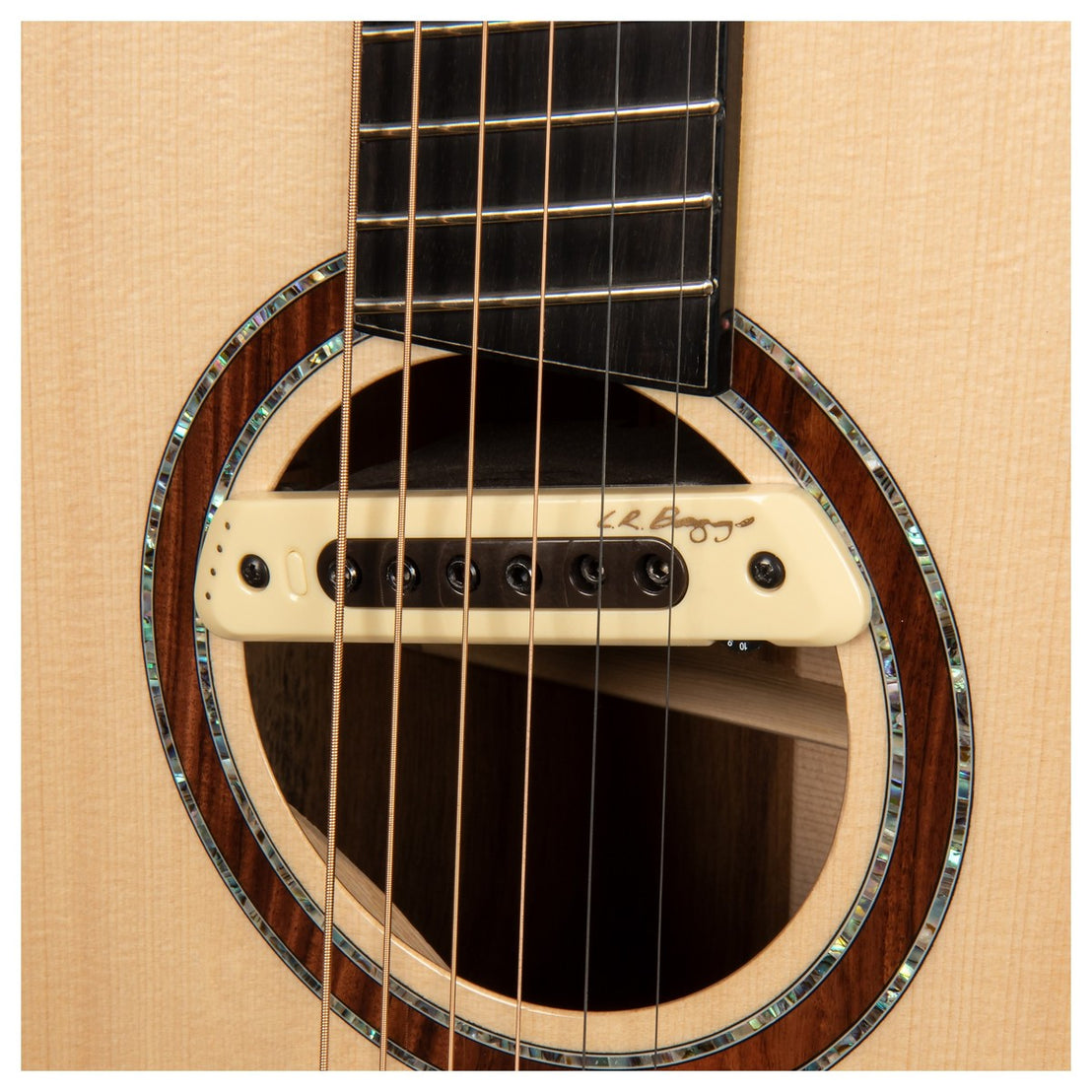 Đàn Guitar Acoustic Cort Cut Craft Limited Edition-Mai Nguyên Music