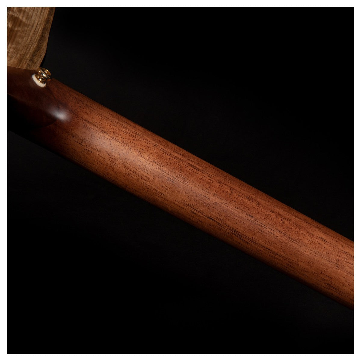 Đàn Guitar Acoustic Cort Cut Craft Limited Edition-Mai Nguyên Music