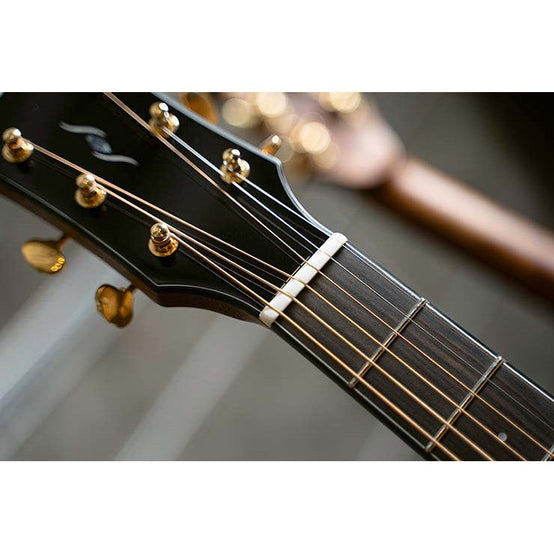 Đàn Guitar Acoustic Cort Gold-A6 Bocote-Mai Nguyên Music