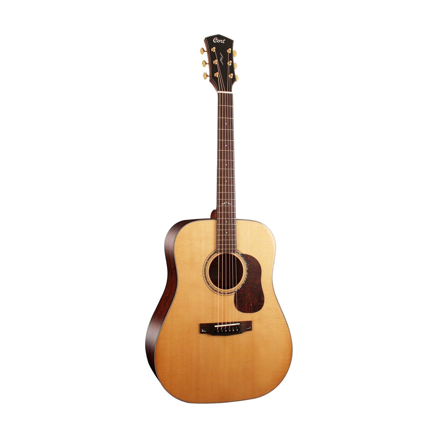 Đàn Guitar Acoustic Cort Gold-D6-Mai Nguyên Music
