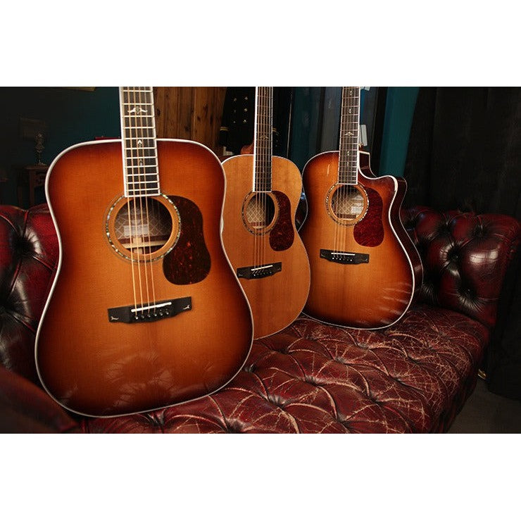 Đàn Guitar Acoustic Cort Gold-D8-Mai Nguyên Music