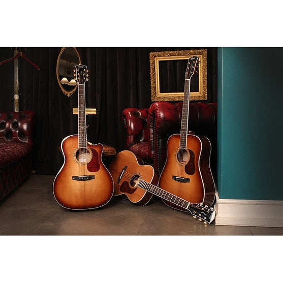 Đàn Guitar Acoustic Cort Gold-D8-Mai Nguyên Music