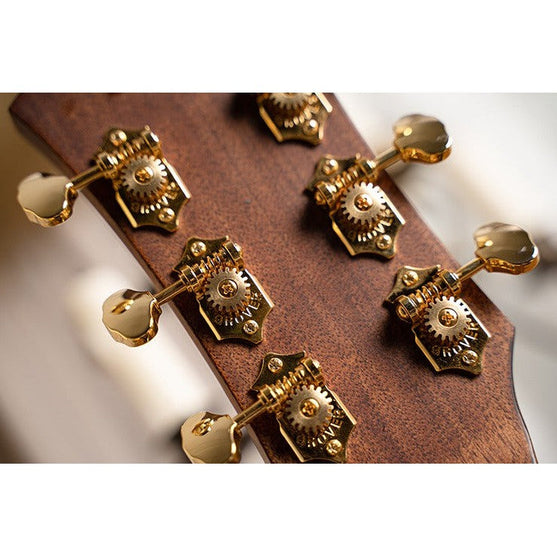 Đàn Guitar Acoustic Cort Gold-DC6-Mai Nguyên Music