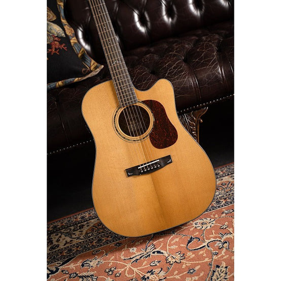 Đàn Guitar Acoustic Cort Gold-DC6-Mai Nguyên Music