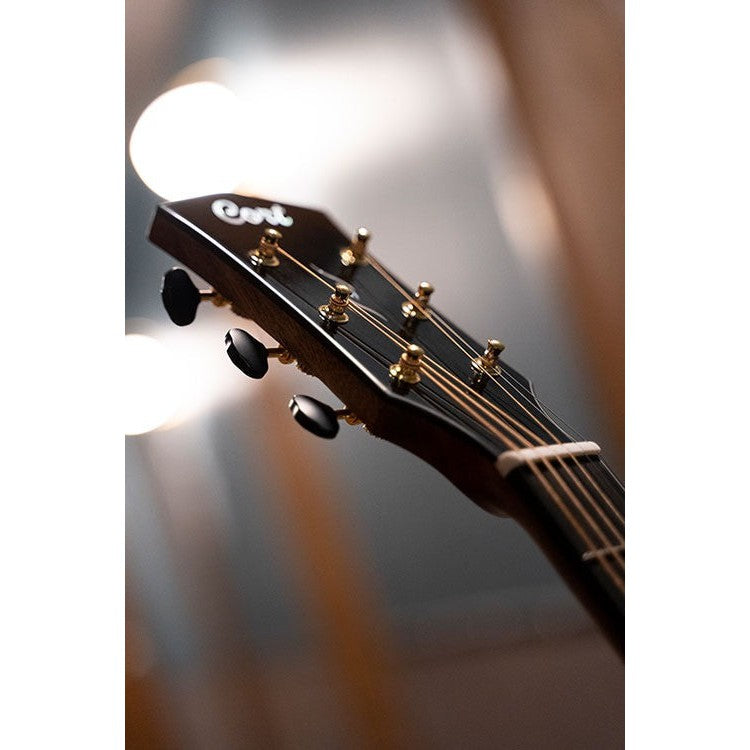 Đàn Guitar Acoustic Cort Gold-Edge-Mai Nguyên Music