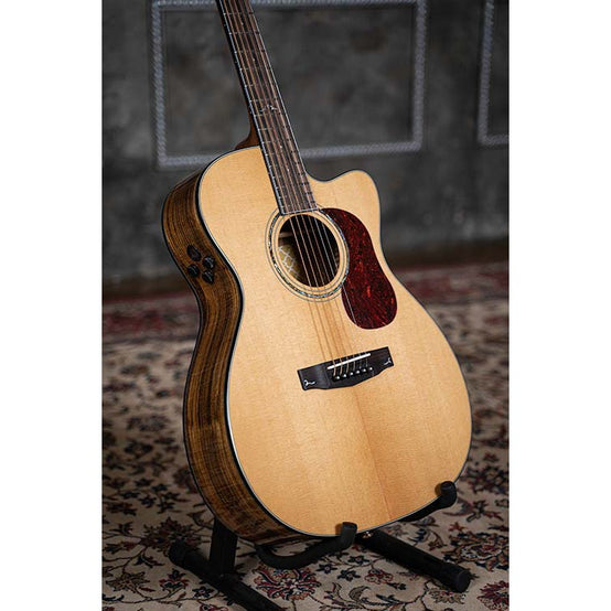 Đàn Guitar Acoustic Cort Gold-OC6 Bocote-Mai Nguyên Music