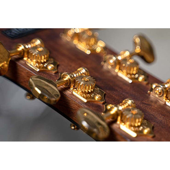 Đàn Guitar Acoustic Cort Gold-OC6 Bocote-Mai Nguyên Music