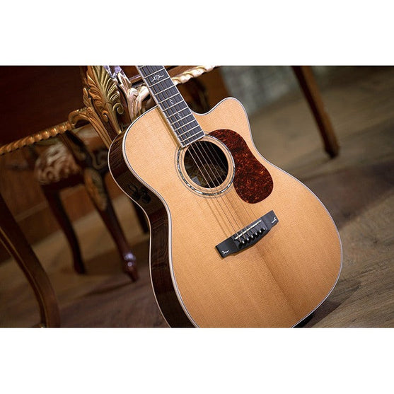 Đàn Guitar Acoustic Cort Gold-OC8-Mai Nguyên Music