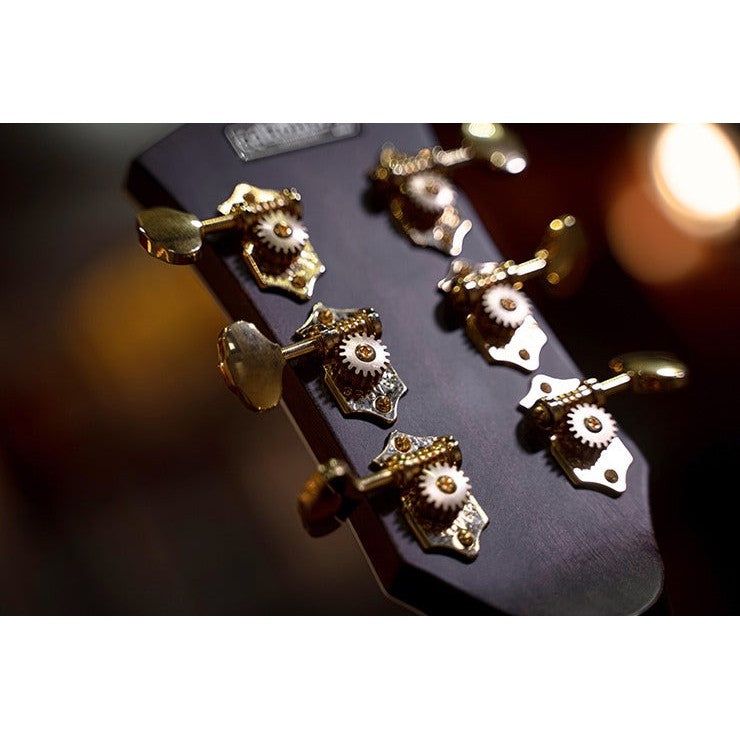 Đàn Guitar Acoustic Cort Gold-OC8-Mai Nguyên Music