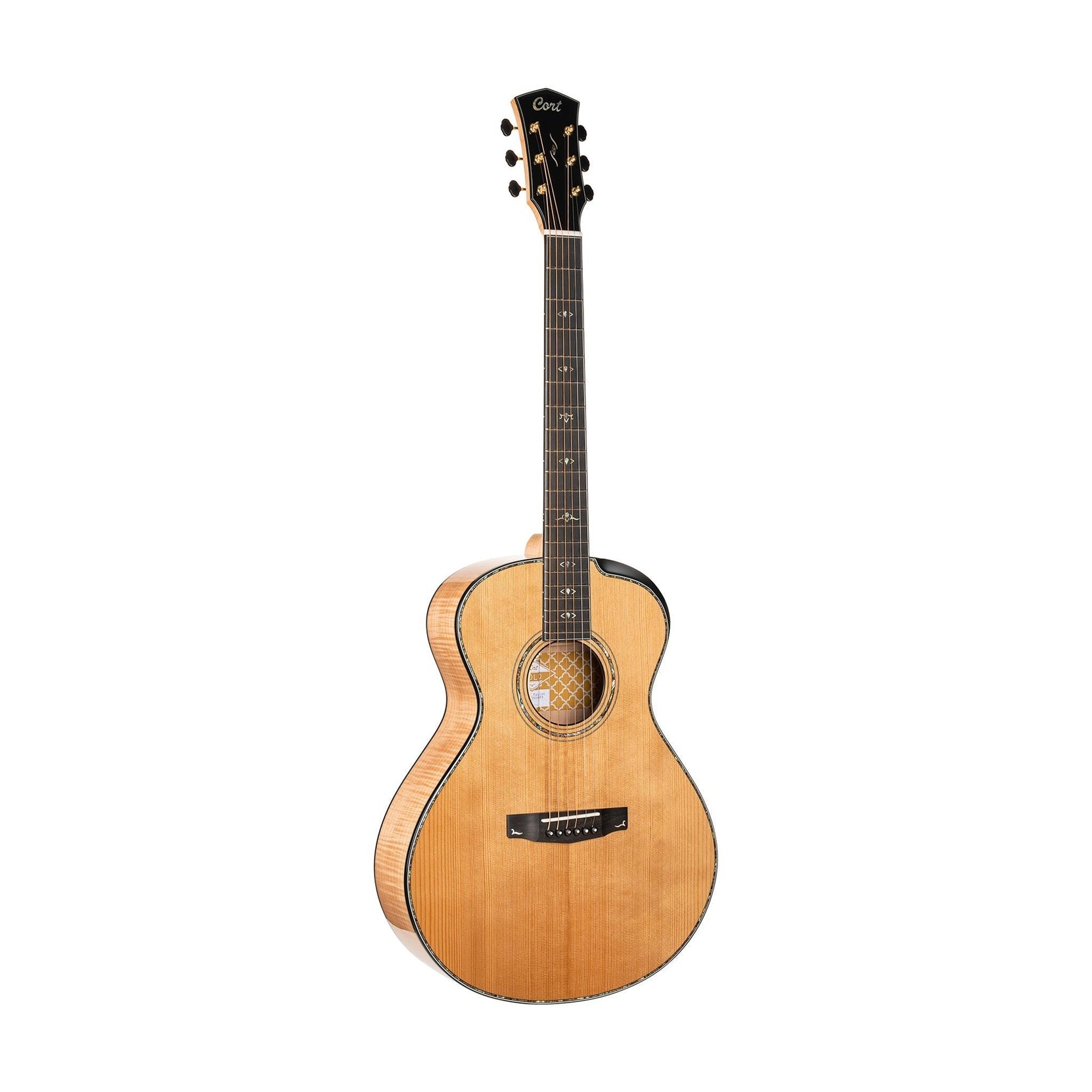 Đàn Guitar Acoustic Cort Gold-Passion-Mai Nguyên Music