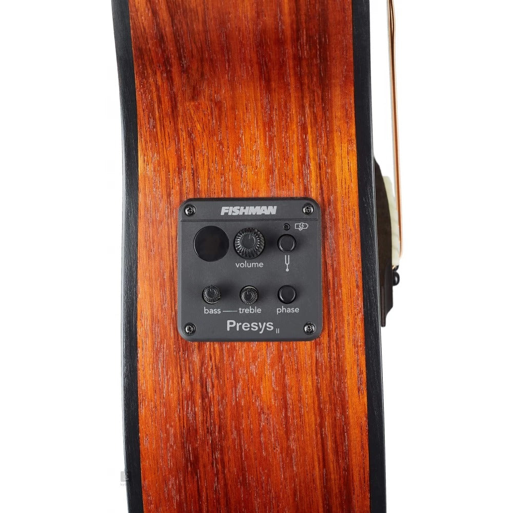 Đàn Guitar Acoustic Cort Little CJ Blackwood-Mai Nguyên Music