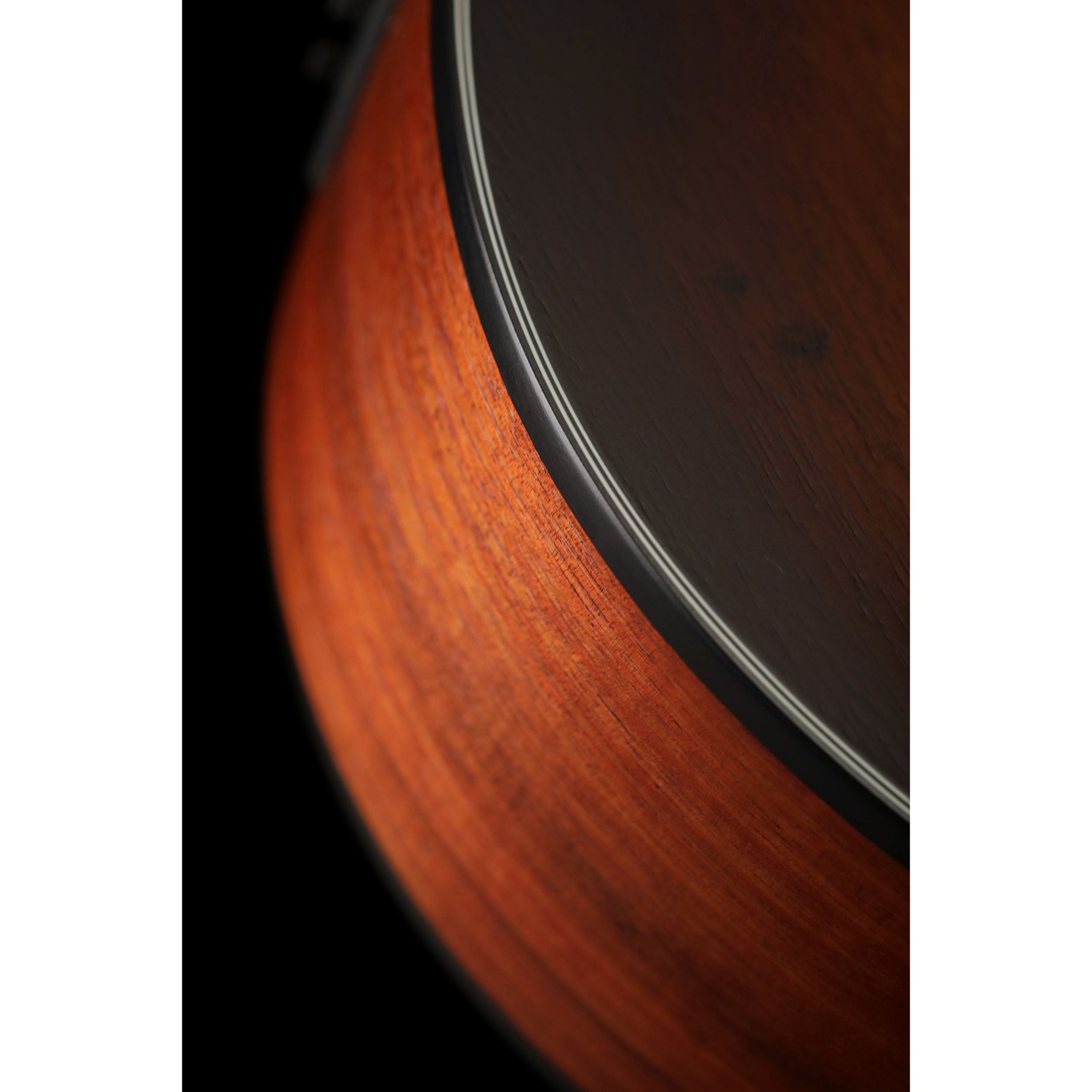 Đàn Guitar Acoustic Cort Little CJ Blackwood-Mai Nguyên Music