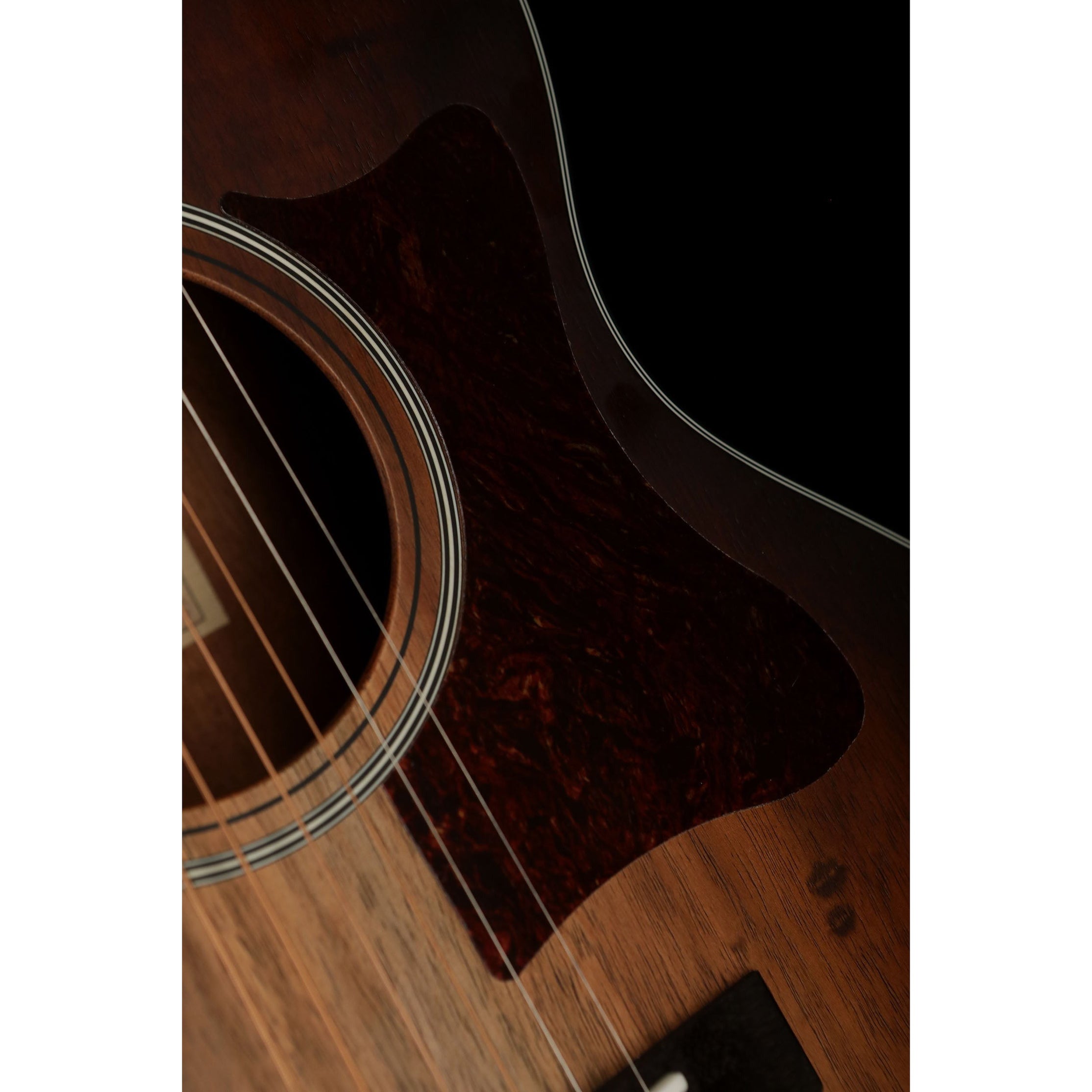 Đàn Guitar Acoustic Cort Little CJ Blackwood-Mai Nguyên Music