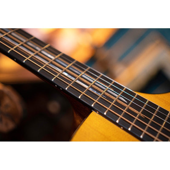 Đàn Guitar Acoustic Cort LUXE II-Mai Nguyên Music