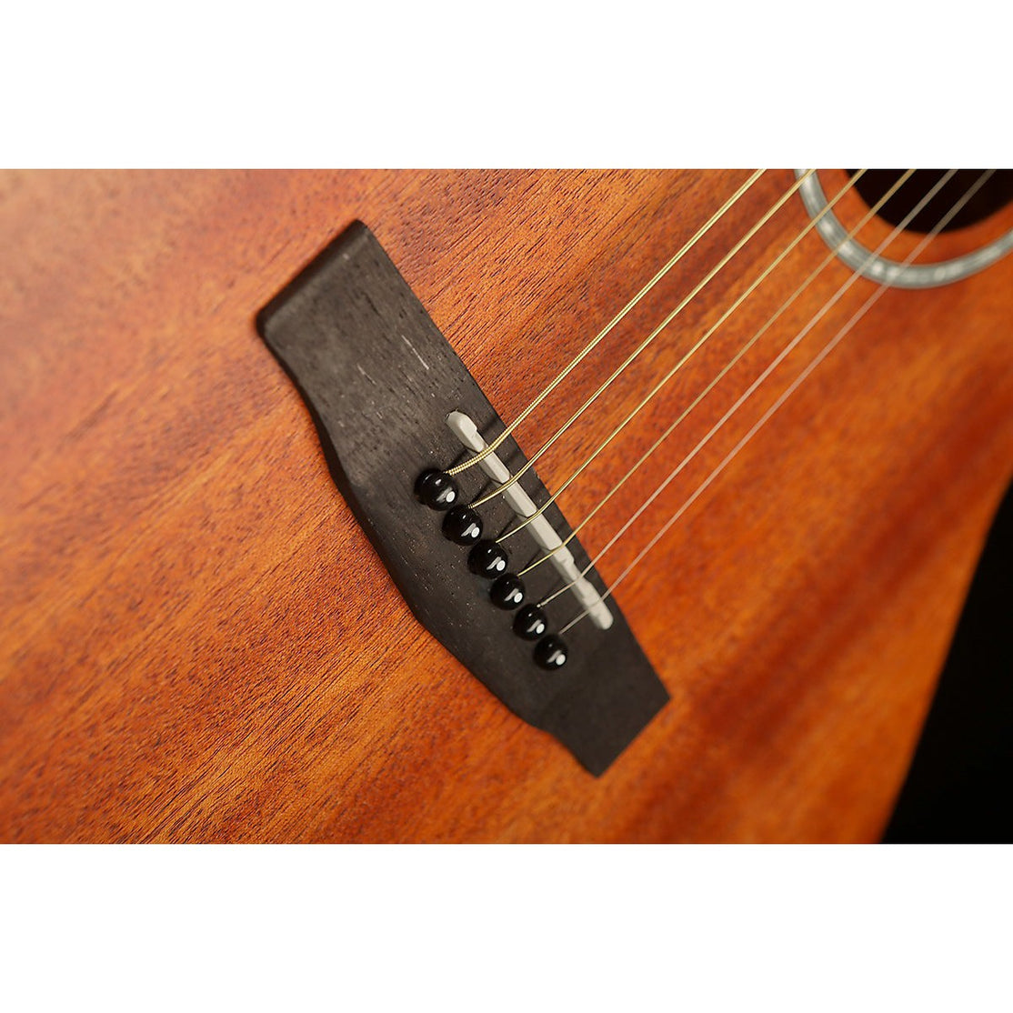 Đàn Guitar Acoustic Cort SFX-MEM-Mai Nguyên Music