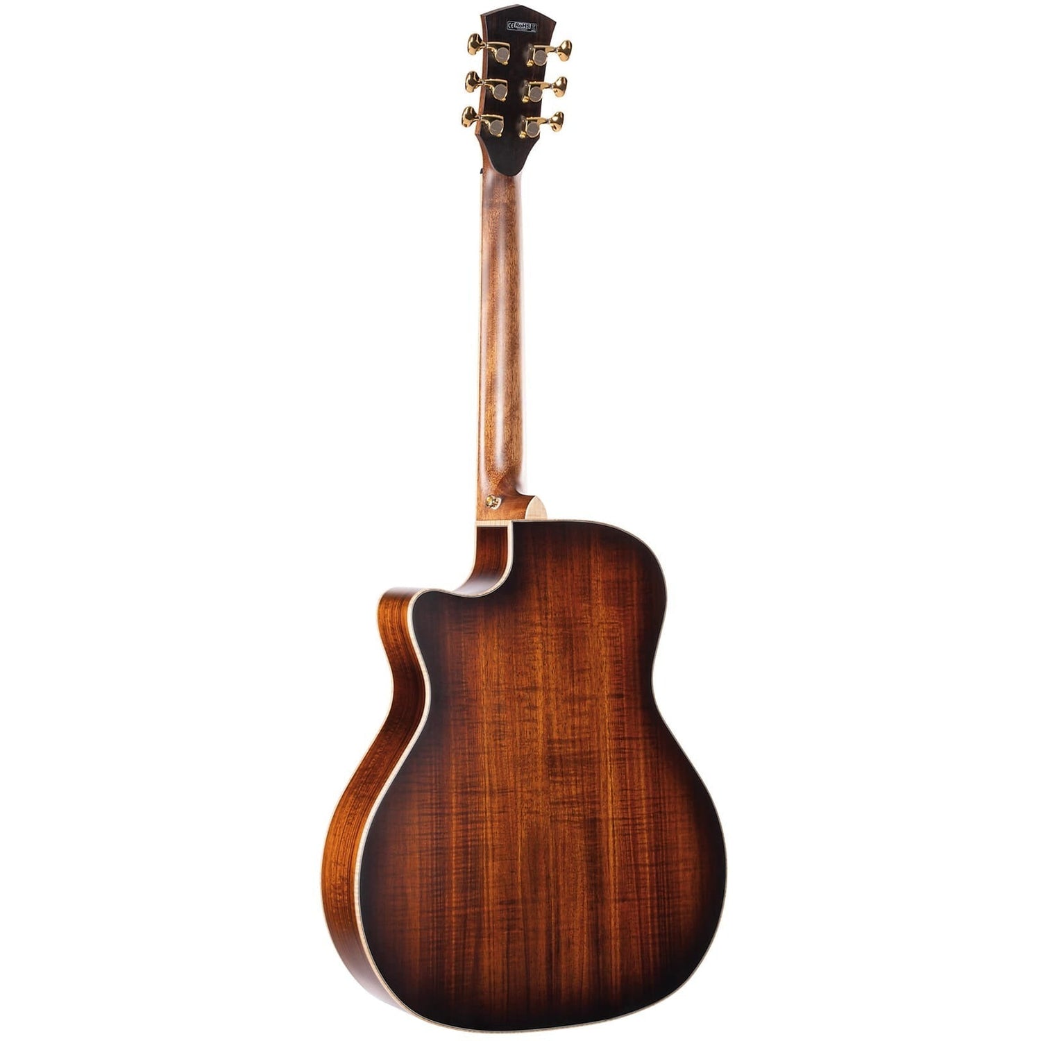 Đàn Guitar Acoustic Cort The Black Tree Limited Edition-Mai Nguyên Music