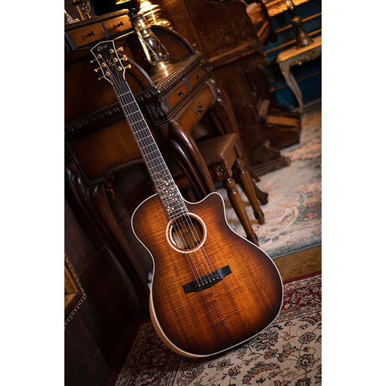 Đàn Guitar Acoustic Cort The Black Tree Limited Edition-Mai Nguyên Music