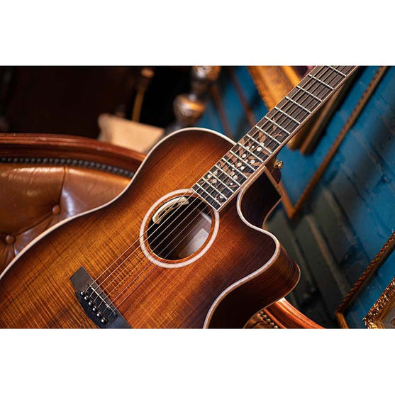 Đàn Guitar Acoustic Cort The Black Tree Limited Edition-Mai Nguyên Music