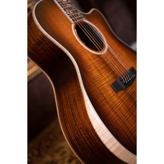 Đàn Guitar Acoustic Cort The Black Tree Limited Edition-Mai Nguyên Music