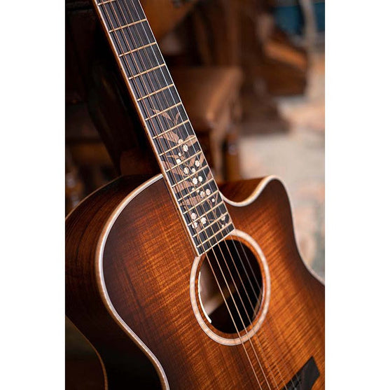 Đàn Guitar Acoustic Cort The Black Tree Limited Edition-Mai Nguyên Music