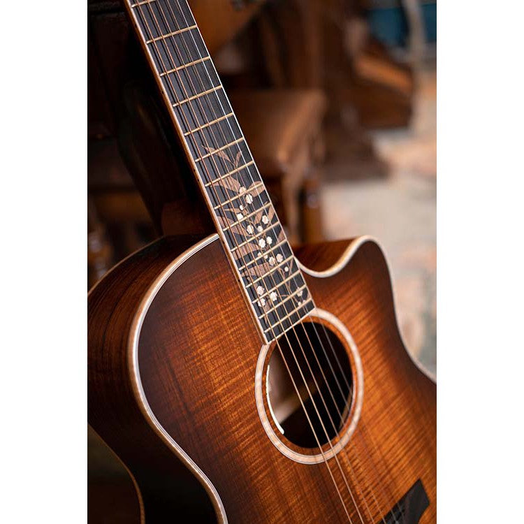 Đàn Guitar Acoustic Cort The Black Tree Limited Edition-Mai Nguyên Music