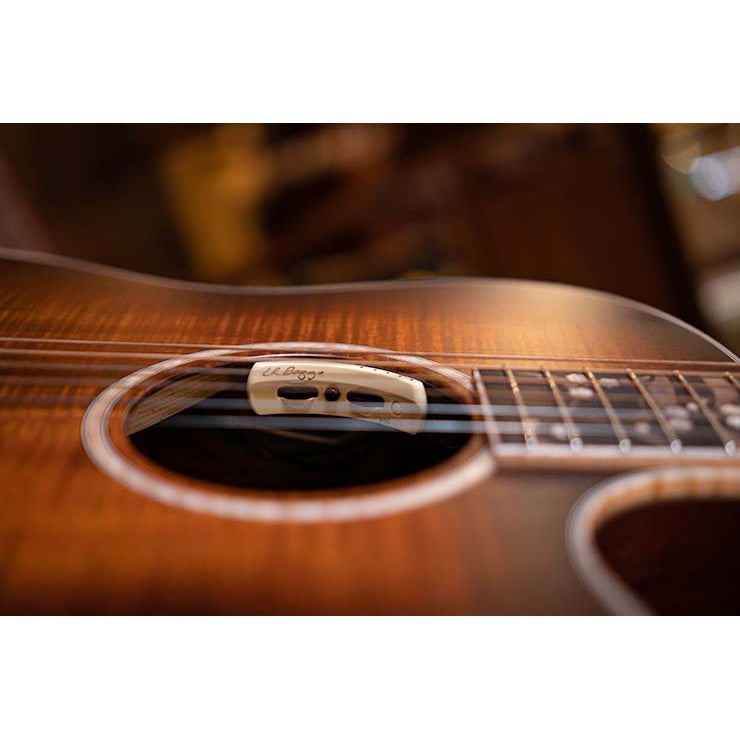 Đàn Guitar Acoustic Cort The Black Tree Limited Edition-Mai Nguyên Music