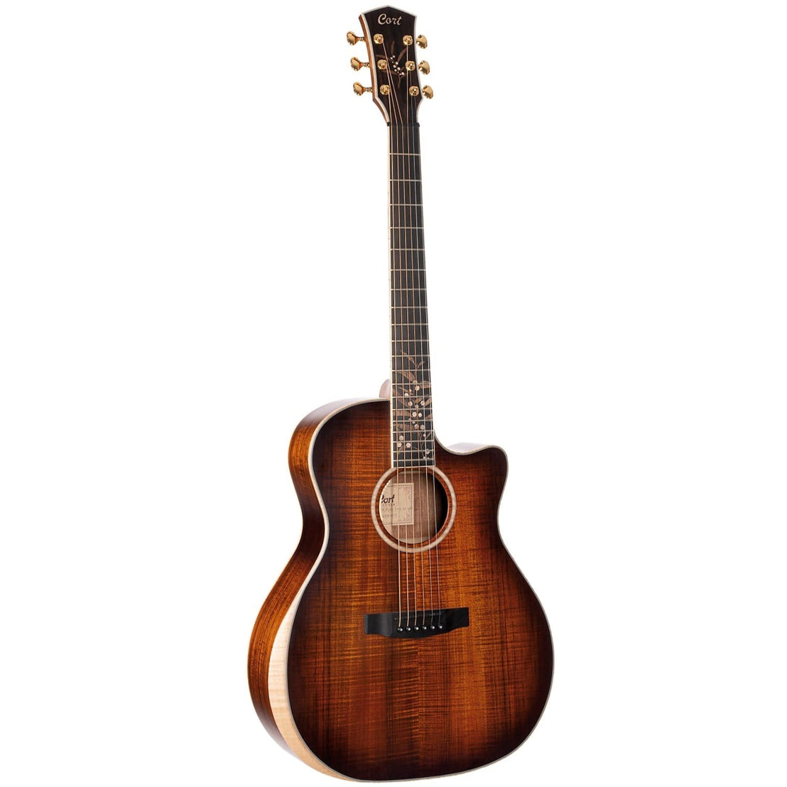 Đàn Guitar Acoustic Cort The Black Tree Limited Edition-Mai Nguyên Music