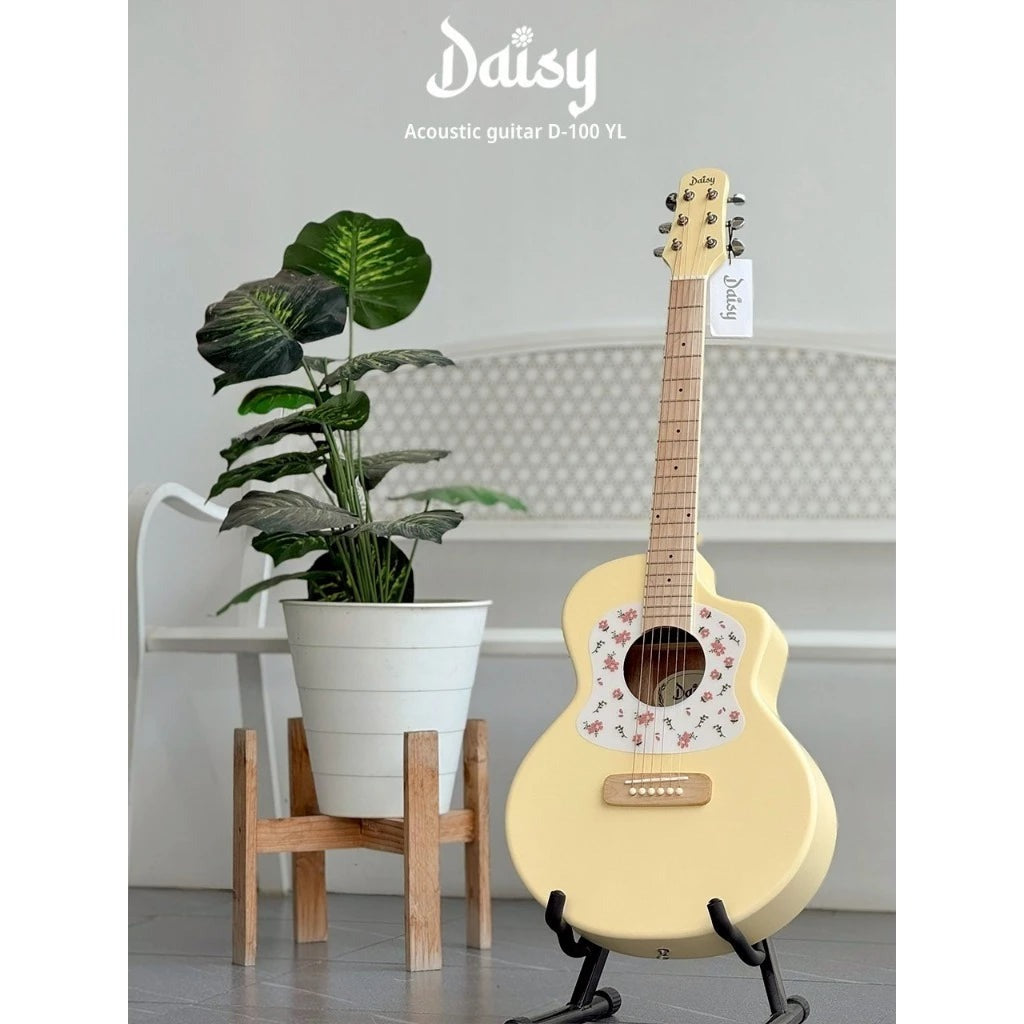 Đàn Guitar Acoustic Daisy D-100-Mai Nguyên Music