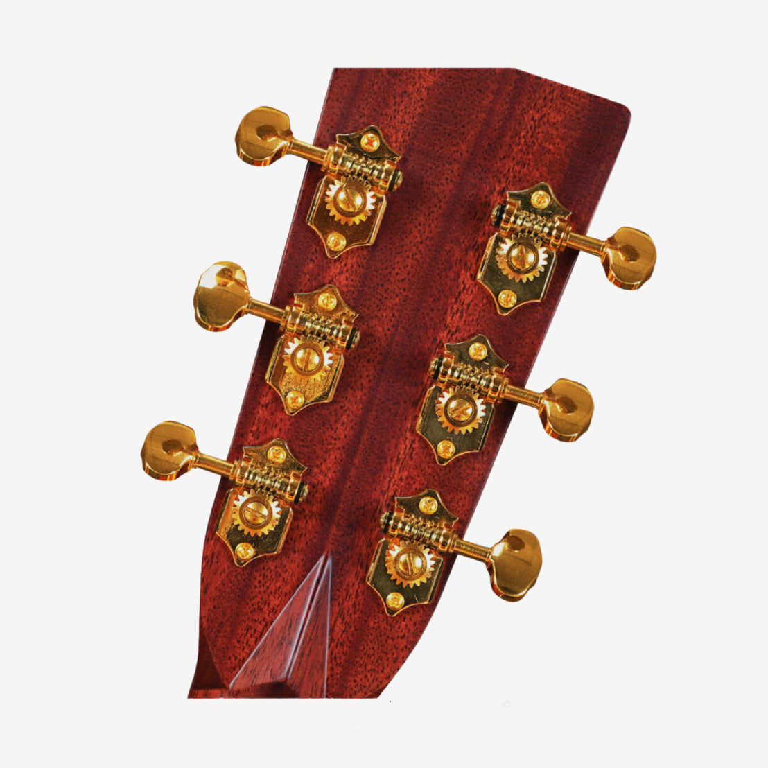 Đàn Guitar Acoustic Enya T-10SOM w/Case-Mai Nguyên Music