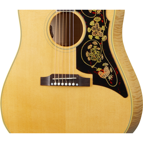 Đàn Guitar Acoustic Epiphone USA Frontier (USA Collection)-Mai Nguyên Music