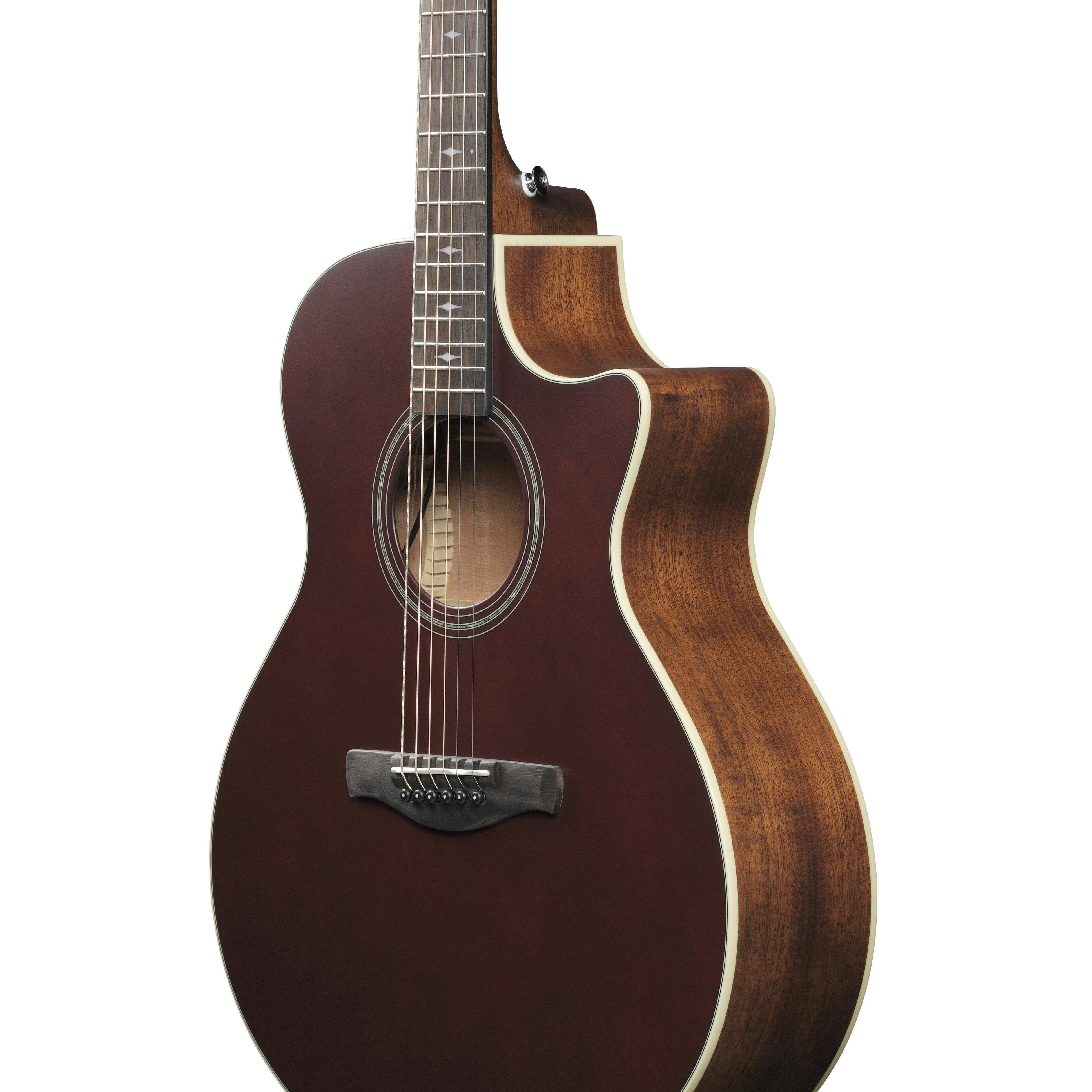 Đàn Guitar Acoustic Ibanez AE100-Mai Nguyên Music