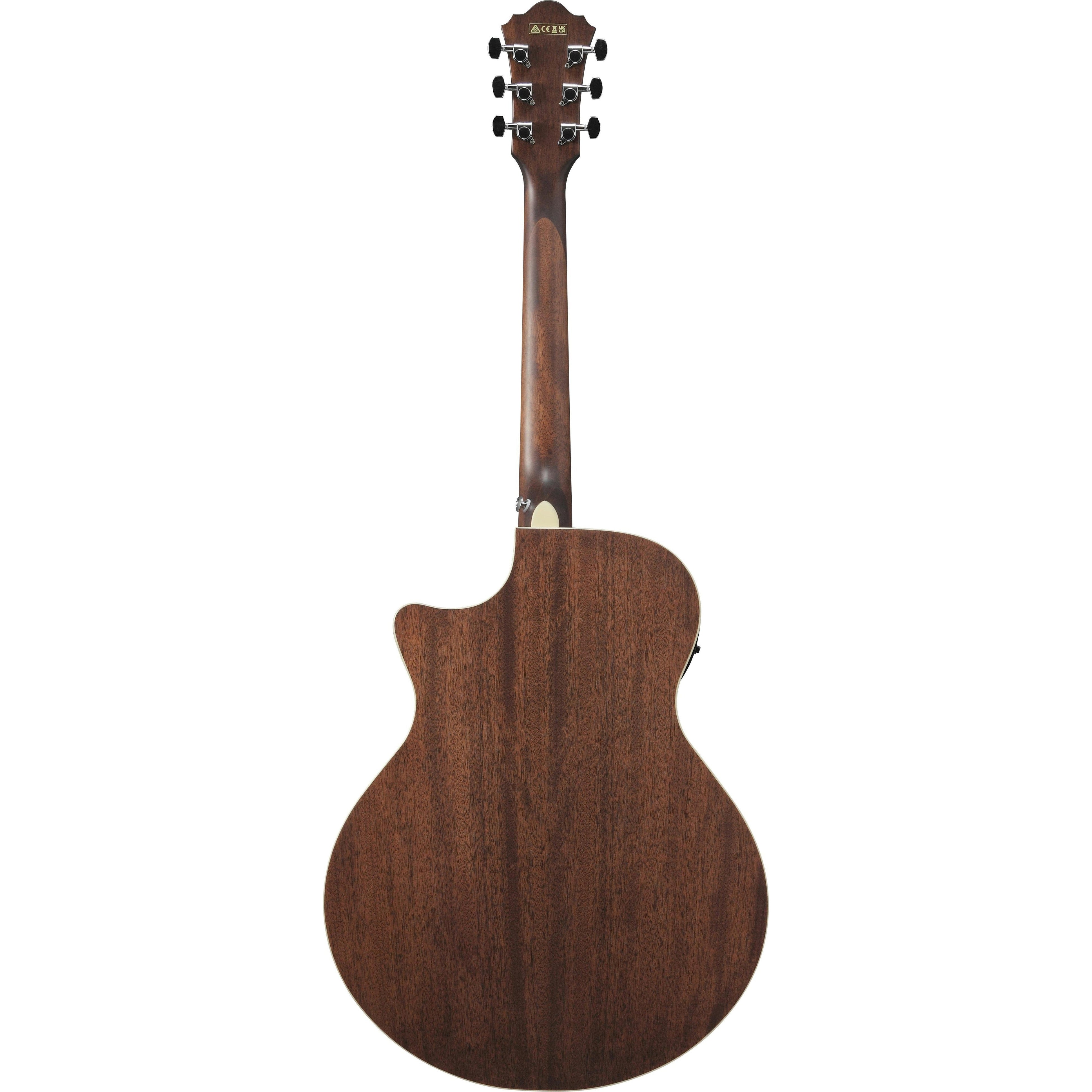 Đàn Guitar Acoustic Ibanez AE100-Mai Nguyên Music