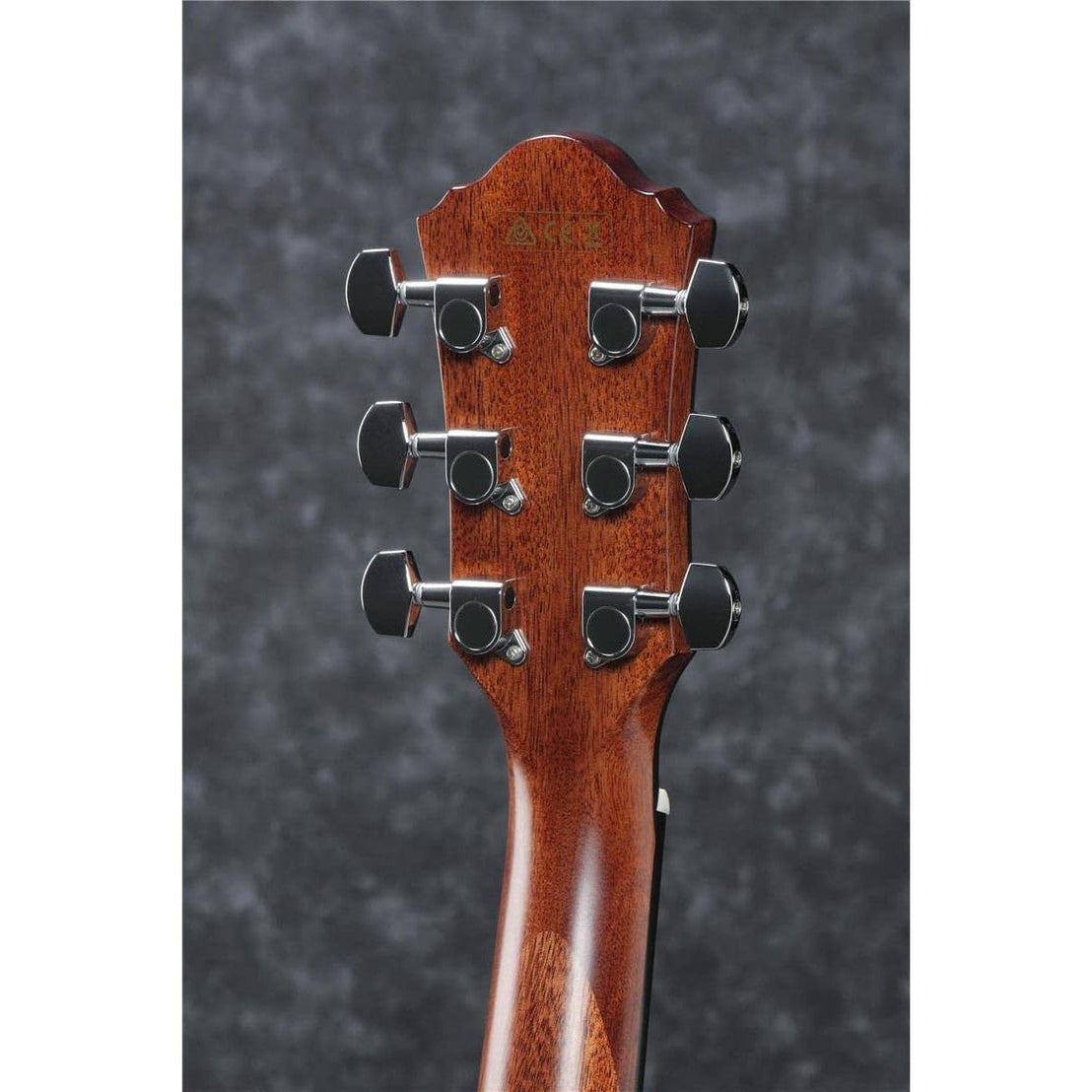 Đàn Guitar Acoustic Ibanez AEG220-Mai Nguyên Music