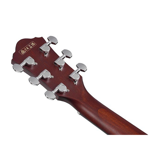 Đàn Guitar Acoustic Ibanez AEG50-Mai Nguyên Music