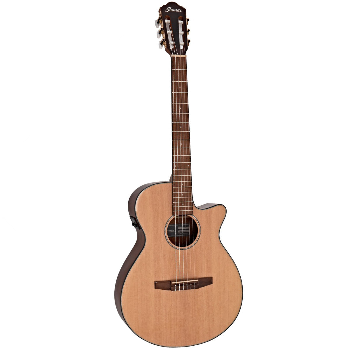 Đàn Guitar Acoustic Ibanez AEG50N Nylon-String-Mai Nguyên Music